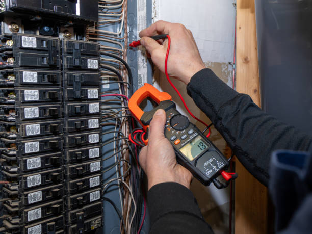 Best Electric Panel Repair  in Cedar Hill, TX